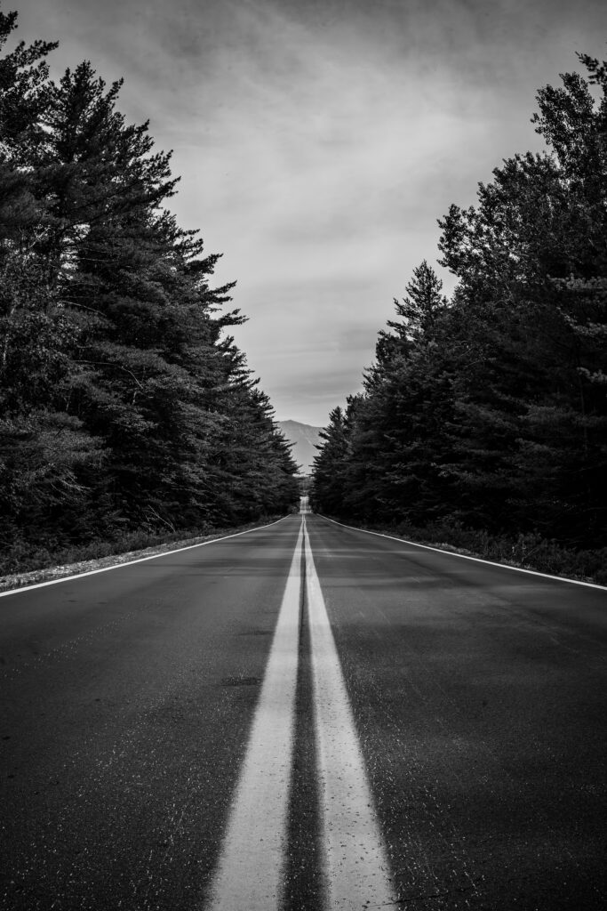 Black and white photo of a road leading to mountain with trees on both sides and leading lines to a vanishing point. 
